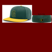 Player Hat 2025 PTS20 PULSE R-FLEX