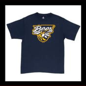 Burlington Bees