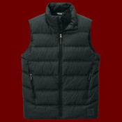 Coldsnap Down Vest