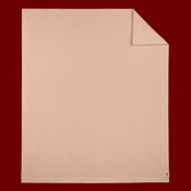 Fleece Dorm Blanket