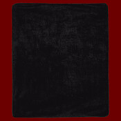 Polyester/Nylon Picnic Blanket