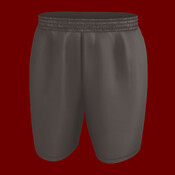 Men's Mesh Shorts