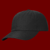 Sustainable Ashland Dad Hat