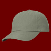 Sustainable Ashland Dad Hat